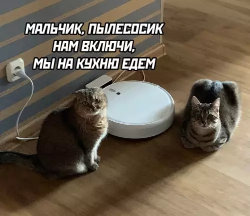 Смешная картинка №671336