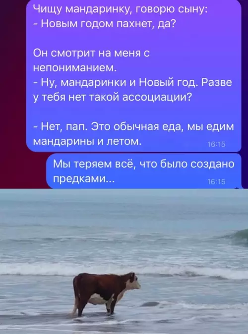 Смешная картинка №705643 Новый год