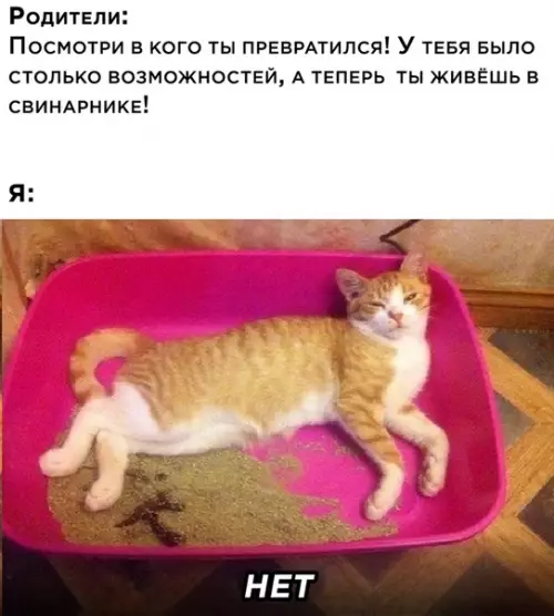 Смешная картинка №532307