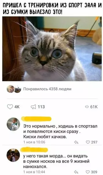 Смешная картинка №268638
