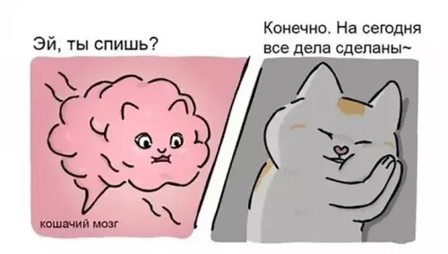 Смешная картинка №599160 Bcтaвaй кошки