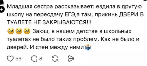 Школьные туалеты: уровень хардкор 🚽😂 - Младшая сестра рассказывает: ездила в другую школу на пересдачу ЕГЭ,