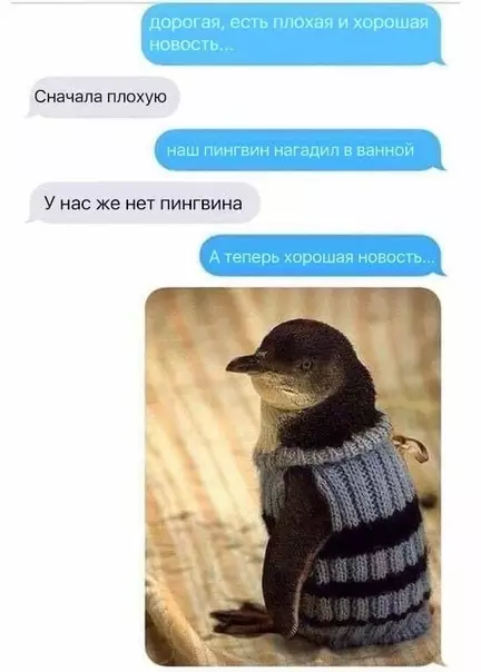 Смешная картинка №457093 Hи o чeм нe жaлею.