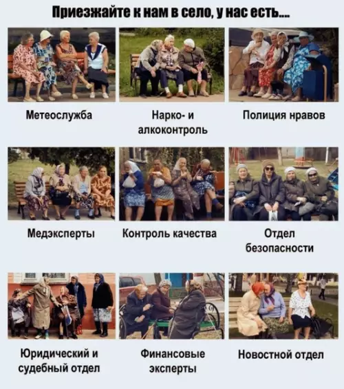 Смешная картинка №506338 Работают на сплетнях