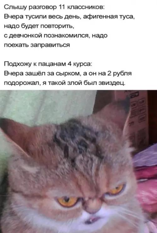 Смешная картинка №717314 жиза