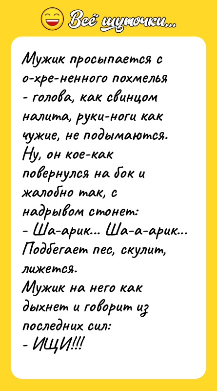 Мужик просыпается с о-хре-ненного похмелья - голова, как свинцом налита,