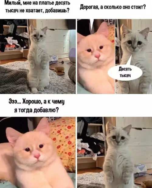 Когда бюджет улетает в трубу 💸🙀 - Милый, мне на платье десять тысяч не хватает, добавишь? Дорогая,