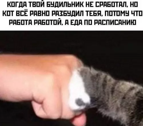 Смешная картинка №562257