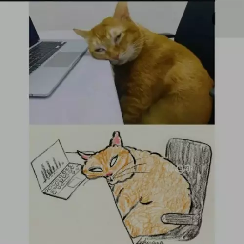 Смешная картинка №789931 состояние 