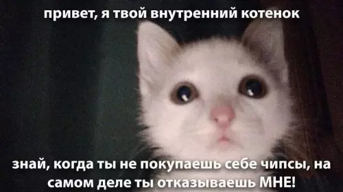 Смешная картинка №787461