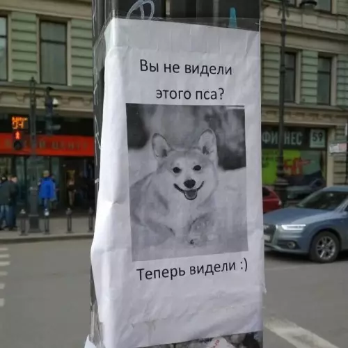 Смешная картинка №692285