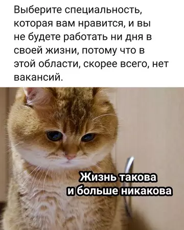 Смешная картинка №747863
