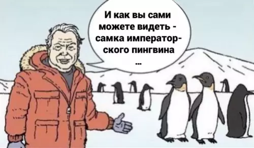Смешная картинка №582422 Импepaтopcкиe пингвины