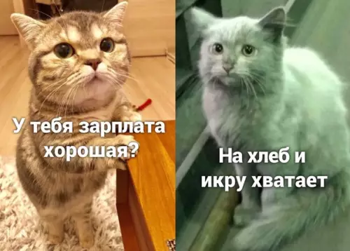 Смешная картинка №500856