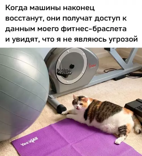 Смешная картинка №703174