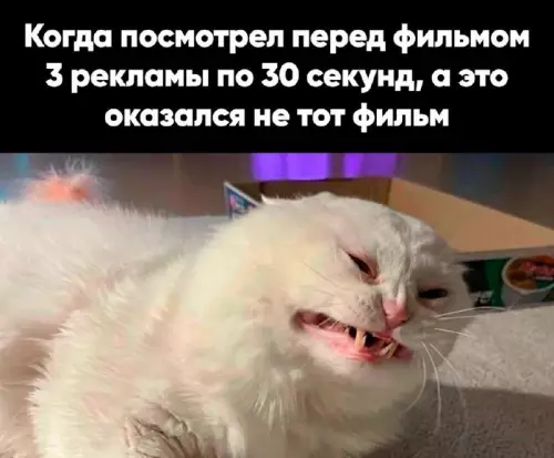 Смешная картинка №688611