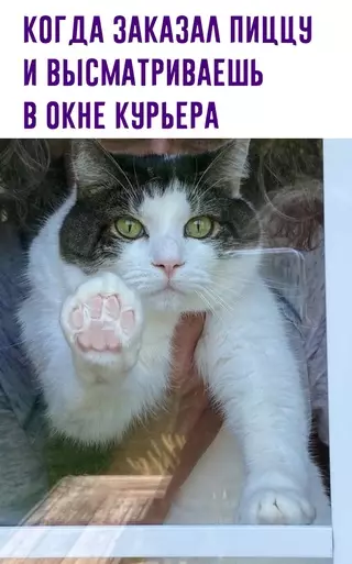 Смешная картинка №655257