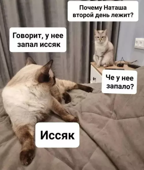 Смешная картинка №776113
