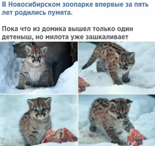Смешная картинка №238383