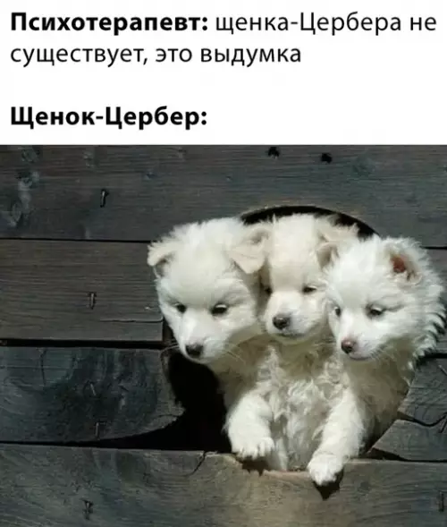 Смешная картинка №464932