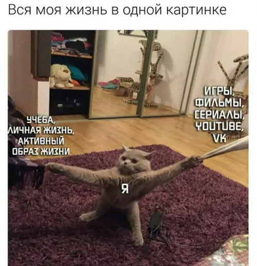 Смешная картинка №173370