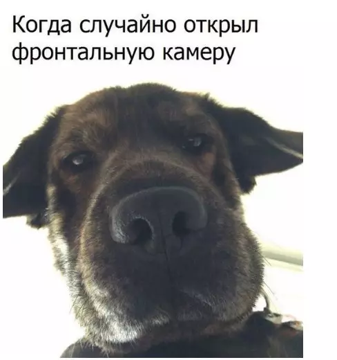 Смешная картинка №213596