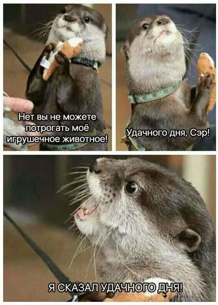 Смешная картинка №336377 У - уходи.