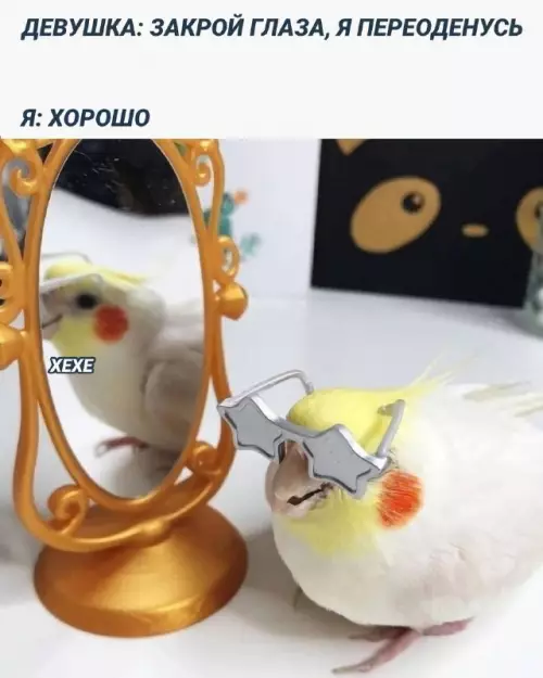 Смешная картинка №688174