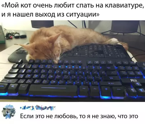 Смешная картинка №384948