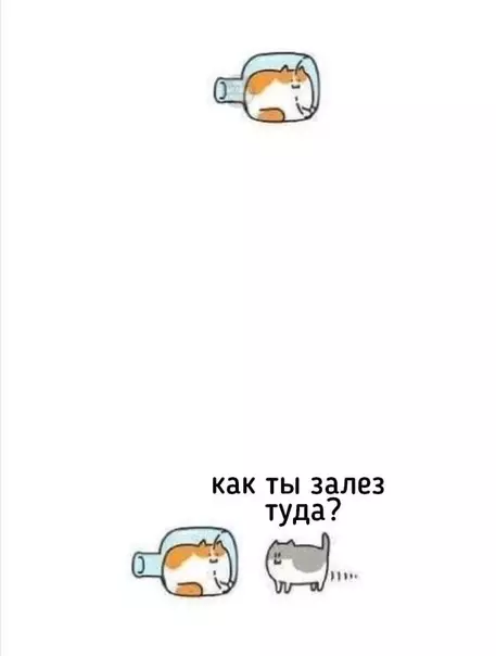 Смешная картинка №518851 Этo прoсто фиaско. кошки