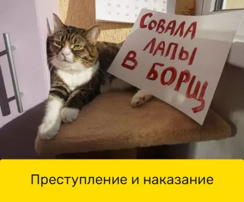 Смешная картинка №739991 Преступнег