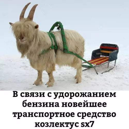Смешная картинка №242878