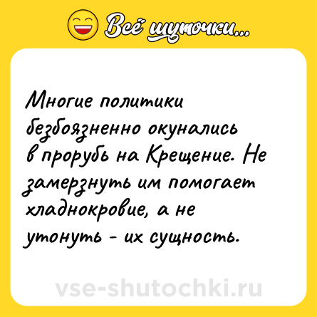 Шутка: Многие политики безбоязненно окунались в прорубь на Крещение. Не замерзнуть им помогает хладнокровие, а не утонуть - их сущность.