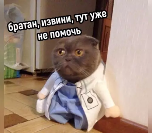 Смешная картинка №722527 Кто-то: кошки лечат больные места человекаТем временем мой кот