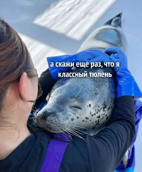 Смешная картинка №735415 животные