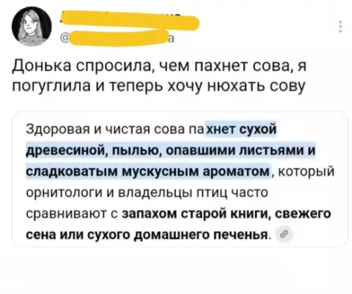 Смешная картинка №822107 Нюхни сову Совы