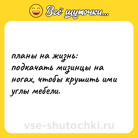 Шутка: планы на жизнь: <br>подкачать мизинцы на ногах, чтобы крушить ими углы мебели.
