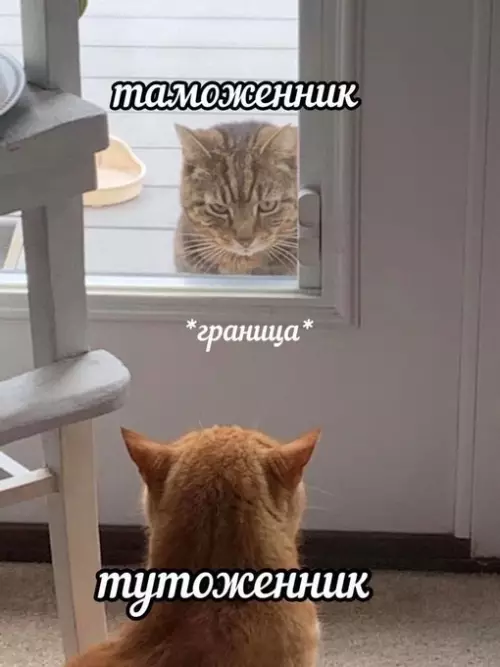 Смешная картинка №700320