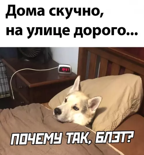 Смешная картинка №594564