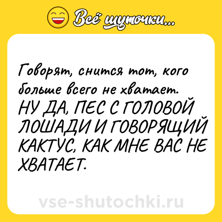 Шутка: Говорят, снится тот, кого больше всего не хватает. НУ ДА, ПЕС С ГОЛОВОЙ ЛОШАДИ И ГОВОРЯЩИЙ КАКТУС, КАК МНЕ ВАС НЕ ХВАТАЕТ.
