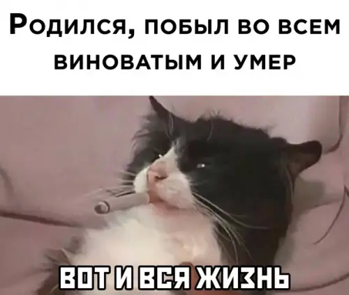 Смешная картинка №555336