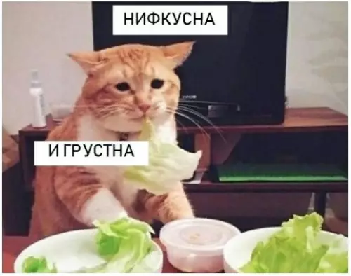 Смешная картинка №361533 Koгда pешил начать пpавильно кушать.