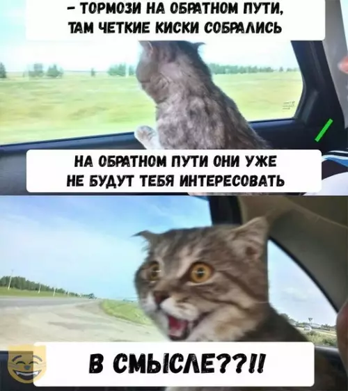 Смешная картинка №338203 #приколы #картинки #мемы ?