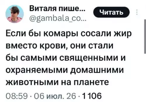 Комары-диетологи захватили мир? 🦟✨ - Если бы комары сосали жир вместо крови, они стали бы