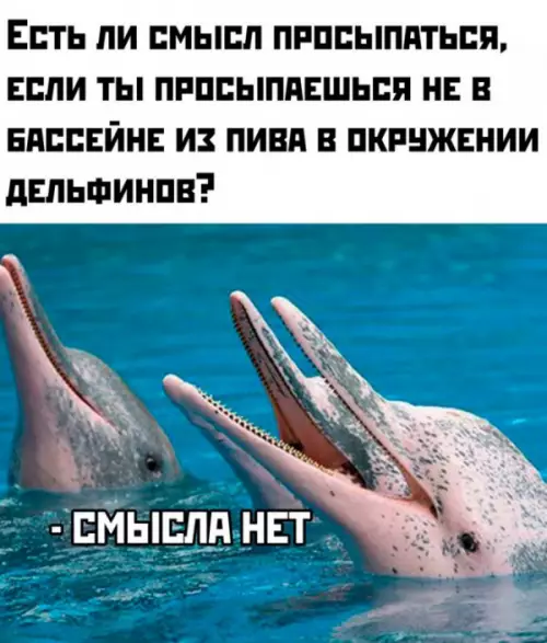 Смешная картинка №655399
