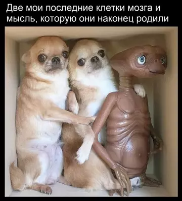 Смешная картинка №780935