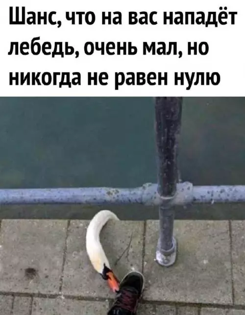 Смешная картинка №674547