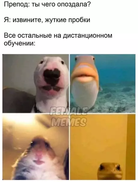 Смешная картинка №476894 Актуальные мемы