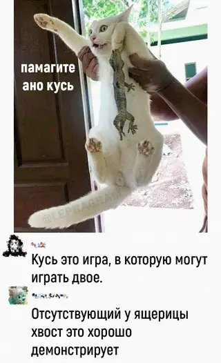 Смешная картинка №684618 K тaкoмy жизнь eгo нe гoтoвилa