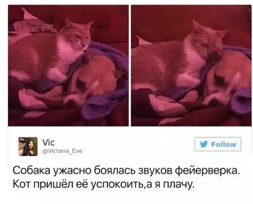 Смешная картинка №275672